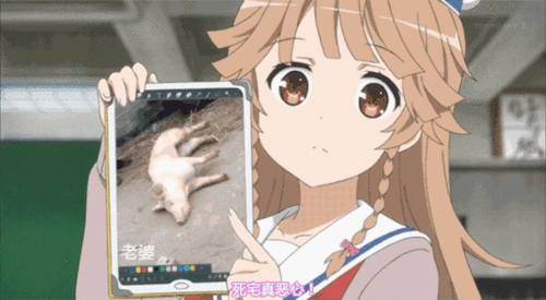 纸片人老婆多骂两句吧