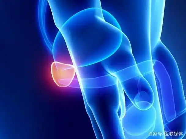 男人"下面"潮湿是怎么了?看似小问题,实则可能暗藏隐患