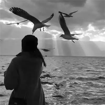 唯美黑白美女背影图片头像