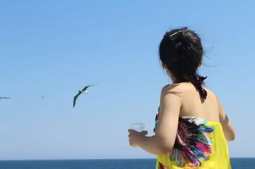 盘旋在海空,饵料抛上去,海鸥纷纷抢食,看,女儿喂海鸥的背影,都透着