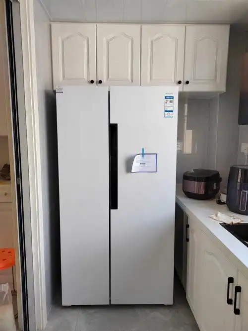 网购一个家.性价比颜值超高的双开门冰箱