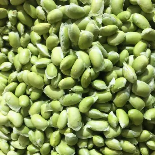 芦笋新鲜山东-芦笋新鲜山东厂家,品牌,图片,热帖-阿里巴巴