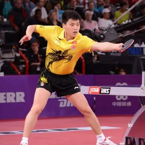 37岁郝帅下赛季征战日本t联赛 曾获世乒赛亚军_乒乓球_新浪竞技风暴