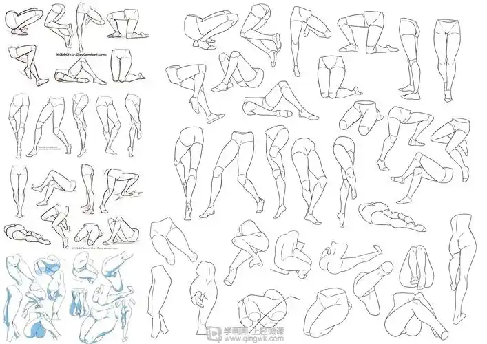 日系厚涂之腿部肌肉的透视关系