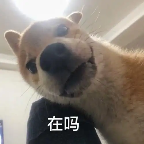 狗头表情包特辑太多了有点杂哈哈哈哈