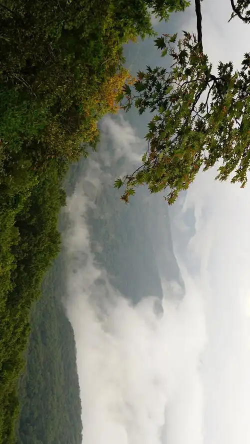 大牛沟云三年916格式请您横屏观看