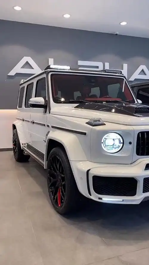 巴博斯大g奔驰巴博斯大g如有此猛兽还惧怕山高路远