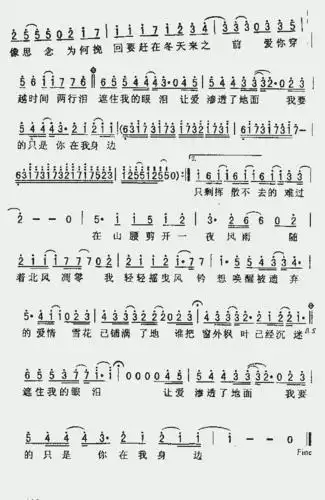 枫_歌谱简谱_哆来咪123曲谱网