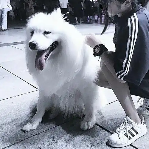 对象不是人系列情头 二传注明dt吃不吃桃子 做你最爱的头像库