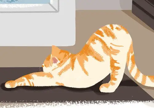 感受一下浑身酸爽的感觉!