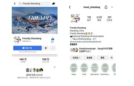 facebook,instagram平台部分数据截图