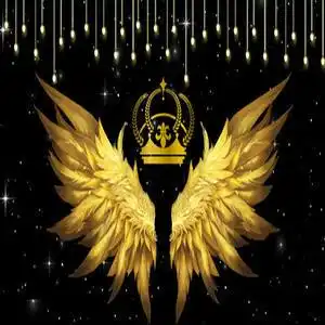 网红翅膀主播背景布网红直播间男女主播背景3d直播背景布快手背景