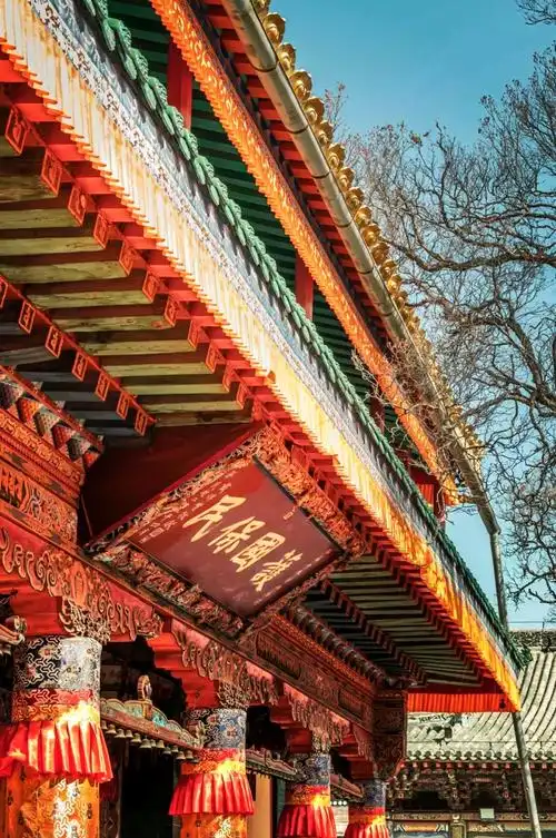 97探秘塔尔寺的"大金瓦殿"