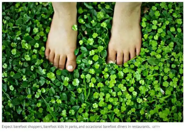 关于新西兰我们永远无法搞懂这10件事