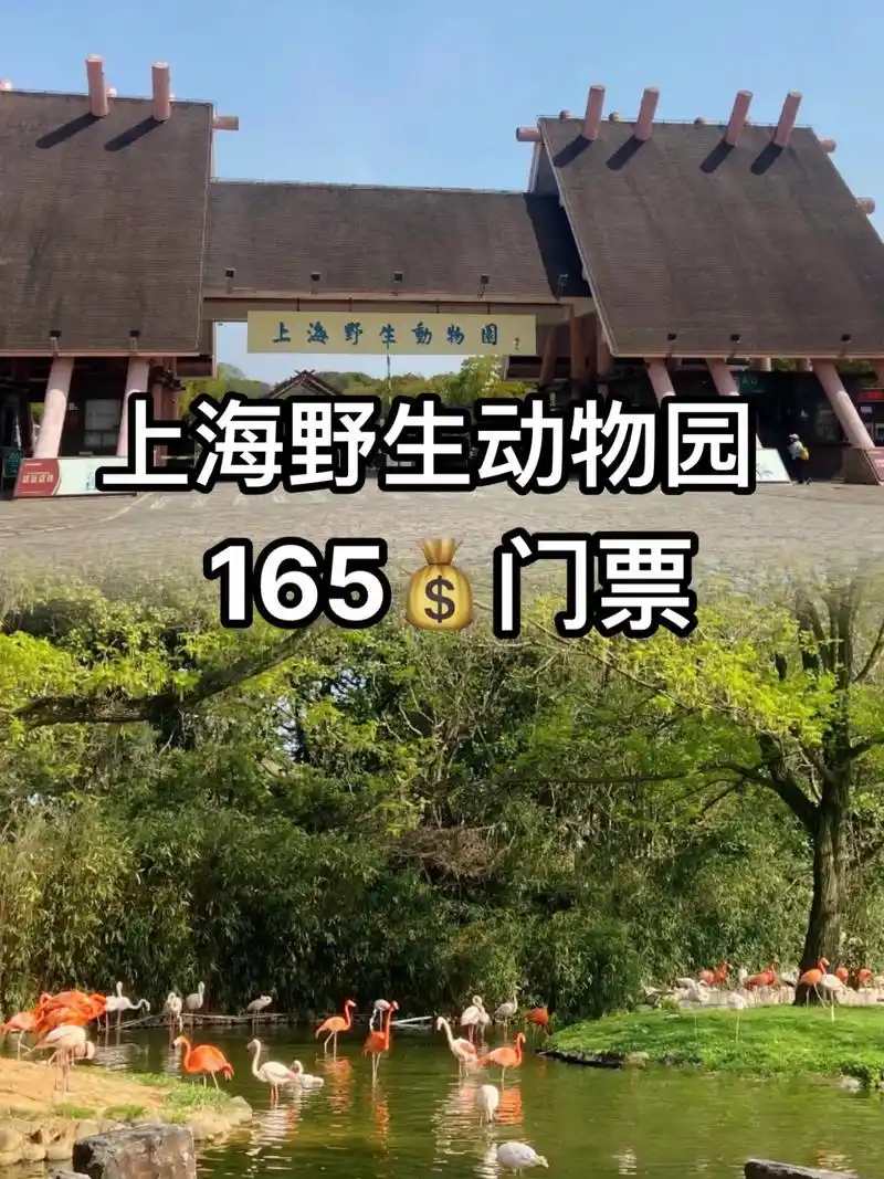 上海野生动物园165门票.上海野生动物园165门票大巴车乘坐 - 抖音