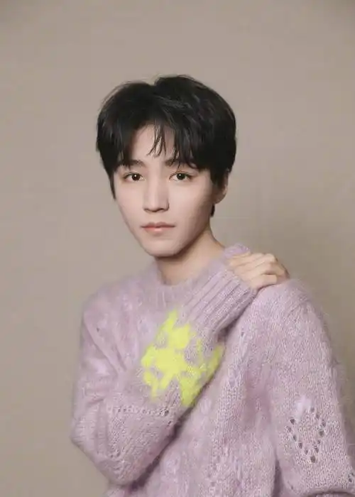 而且浅紫色也给人一种梦幻的感觉,镜头下的王俊凯,一副精致乖巧的样子