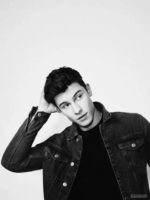 9,肖恩·蒙德兹(加拿大男歌手)