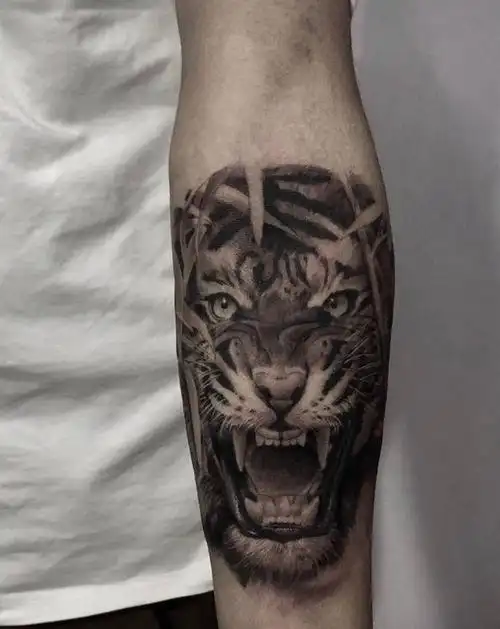 老虎纹身图片_手臂欧美写实纹身图案