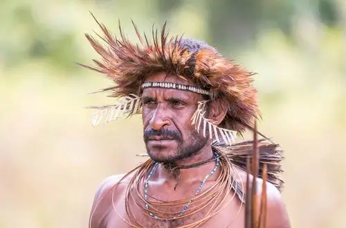 p>棕色人种,又称澳大利亚人种,是按照遗传和体质为人类分类所划分出