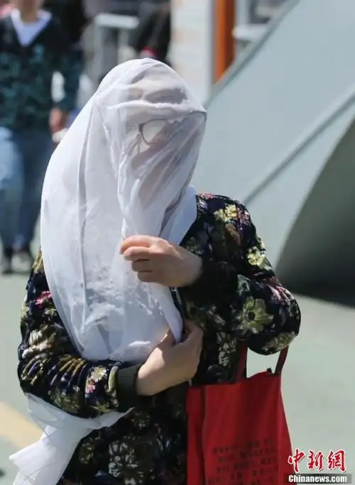 市民蒙上纱巾在风中出行.中新社记者  贾天勇 摄