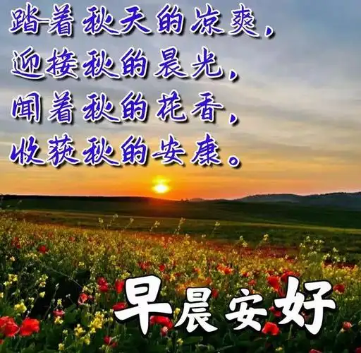 唯美早安问候祝福语|快乐|甜蜜|幸福|好运|早上好_网易订阅