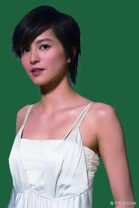 中国十大70后女歌手排行榜