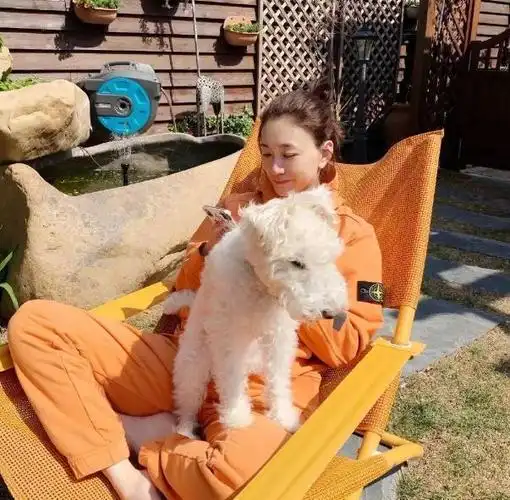 《庆余年2》开播,全员美女,好几位是舞蹈专业出身