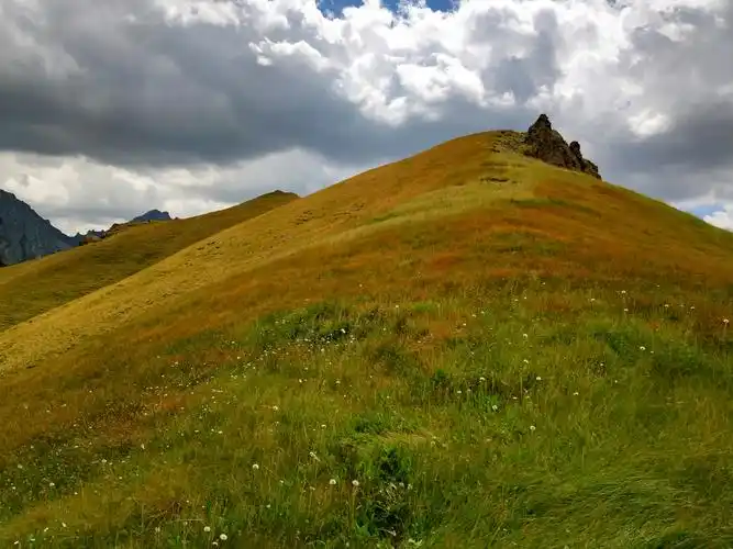 各色野花逐次绽放在高山草甸上,五色相间,不同的海拔造就了不同的风景