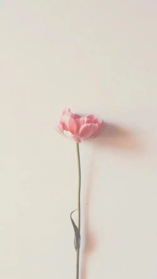 p图软件有推荐 请评论