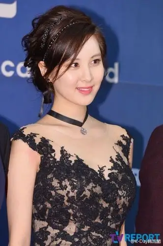 韩国美女徐贤透视裙优雅性感写真图片