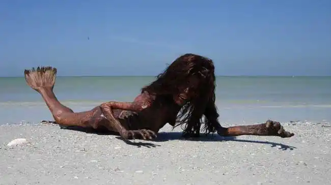 黑鳞鲛人活着的样子男鲛人凶神恶煞女鲛人曼妙多姿传说