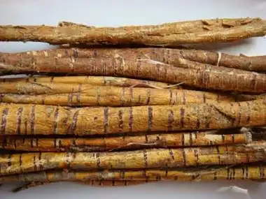 p data-id="gnarb9oeu0">亳桑皮又名桑白皮,亳州地产药材,来源于桑科