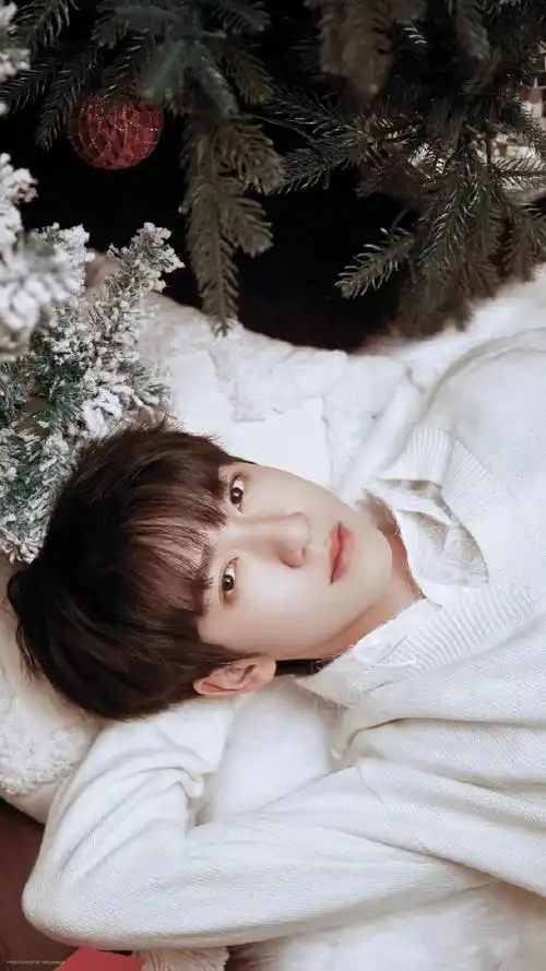 style星时尚专题##贺峻霖 fashion plate##贺峻霖 十八长翎破青空