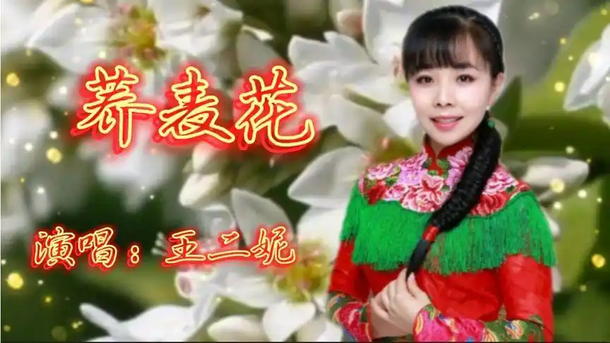 王二妮演唱陕北新民歌《荞麦花》,这嗓音这花儿,太美啦!