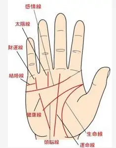 男人手相图解大全