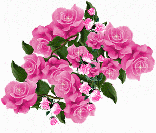 323_276gif 动态图 动图