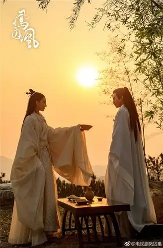 凤囚凰曝王意之剧照:张馨予客串王公子 王意之的原型是谁