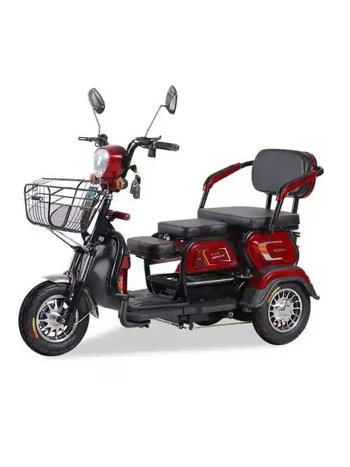 接送孩子电瓶车电动三轮车家用小型电动车代步车老年老人