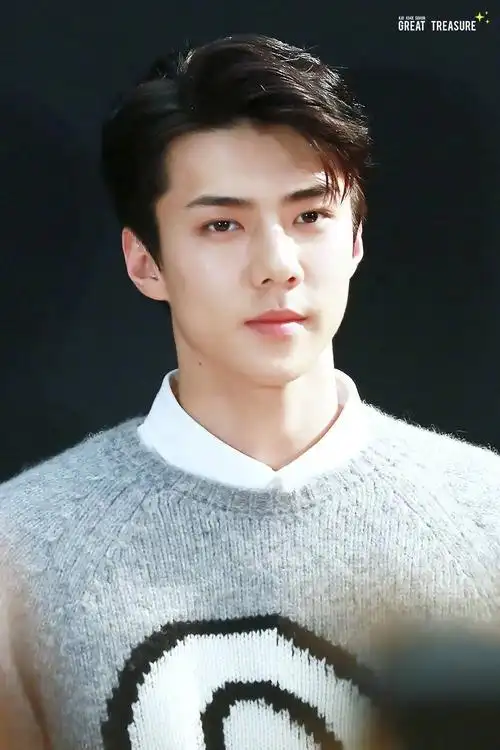 吴世勋人间太大了探头看了一下还是乖乖缩回你心间了