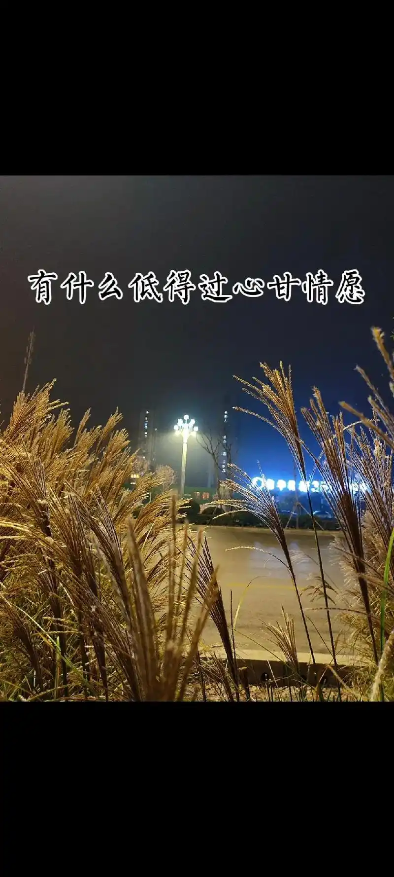 有什么抵得过心甘情愿,又有什么蠢得过自欺欺人!