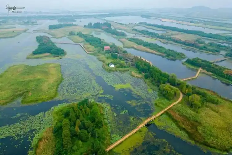 靠近溧阳的长荡湖里有个免费景点,是国家级湿地公园,风光宜人-腾讯