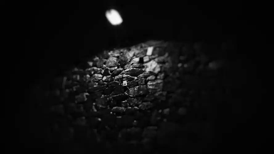 颜色黑色白色灯火自然夜晚blackwhitelightsnight壁纸图片