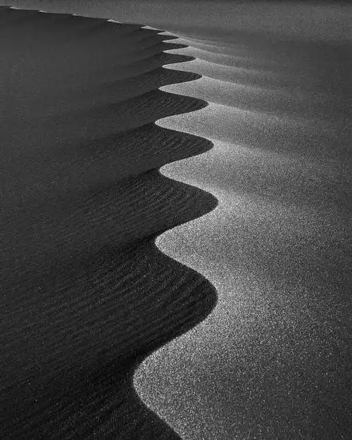 意境黑白照诗一般优美