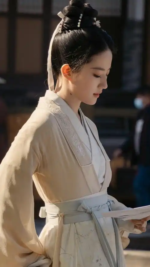 梦华录赵盼儿刘亦菲