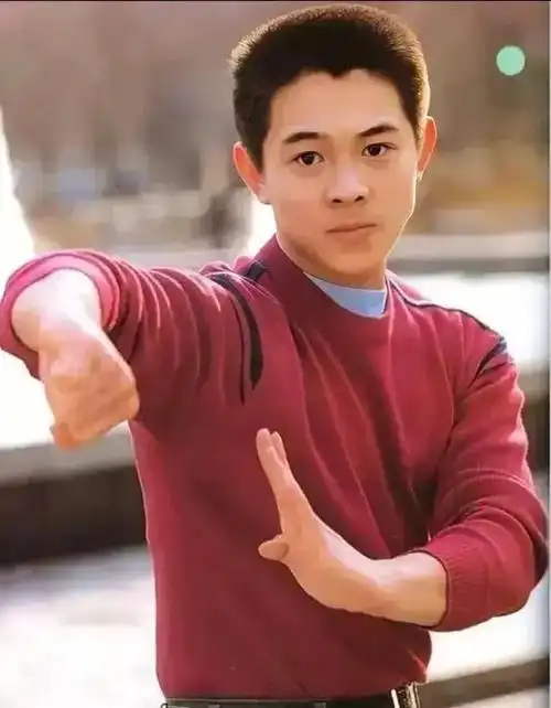 李连杰已和利智交接好身后事:全部从简,别立碑也不要办丧事了