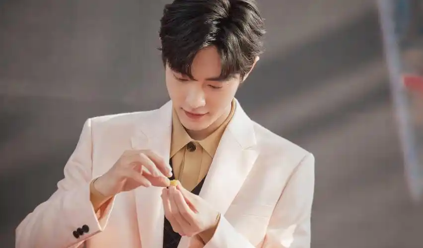 肖战在网上做什么赚钱多 肖战在网上做什么赚钱多呢