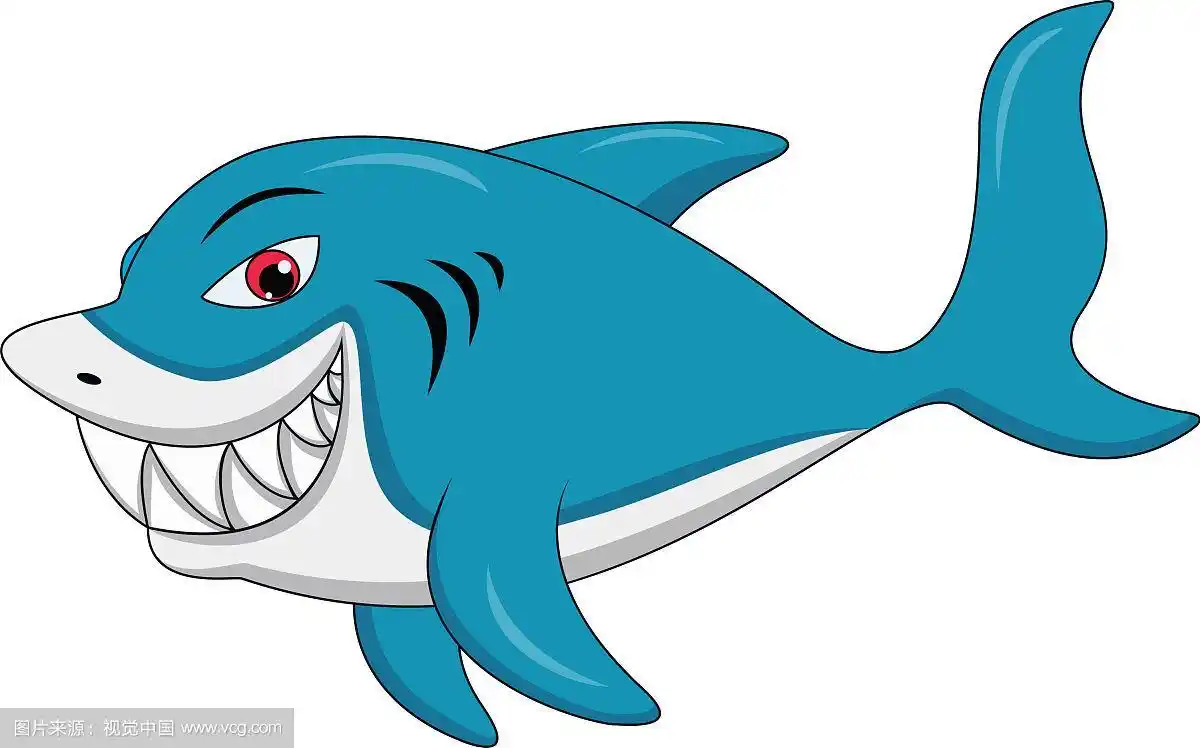 鲨鱼的卡通