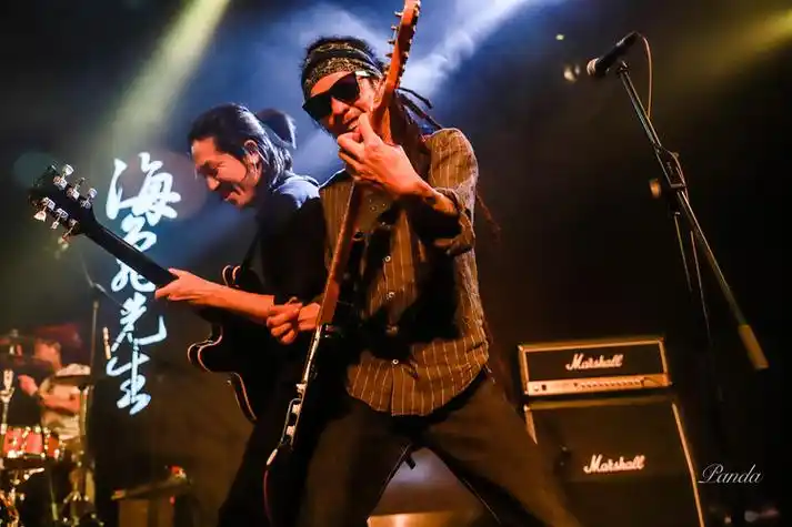 咔咪哈咪哈海龟先生的龟波神功着调专访