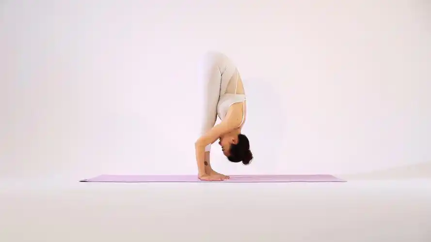 s曲线瘦身·拜日式b