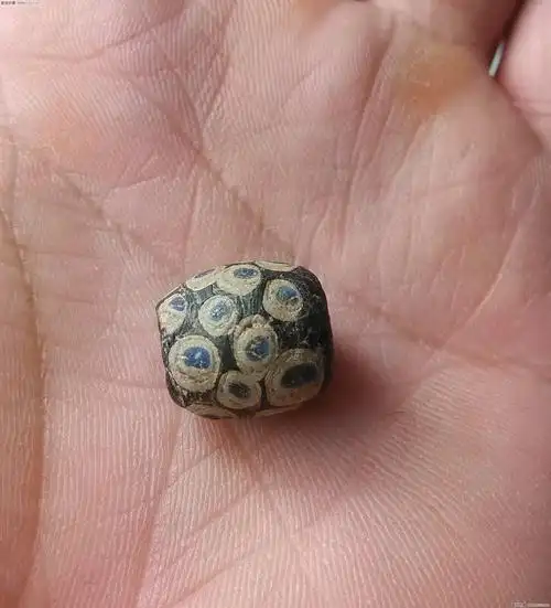 战国24眼蜻蜓眼